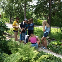 Ботанический сад приглашает школьников на поиски сокровищ